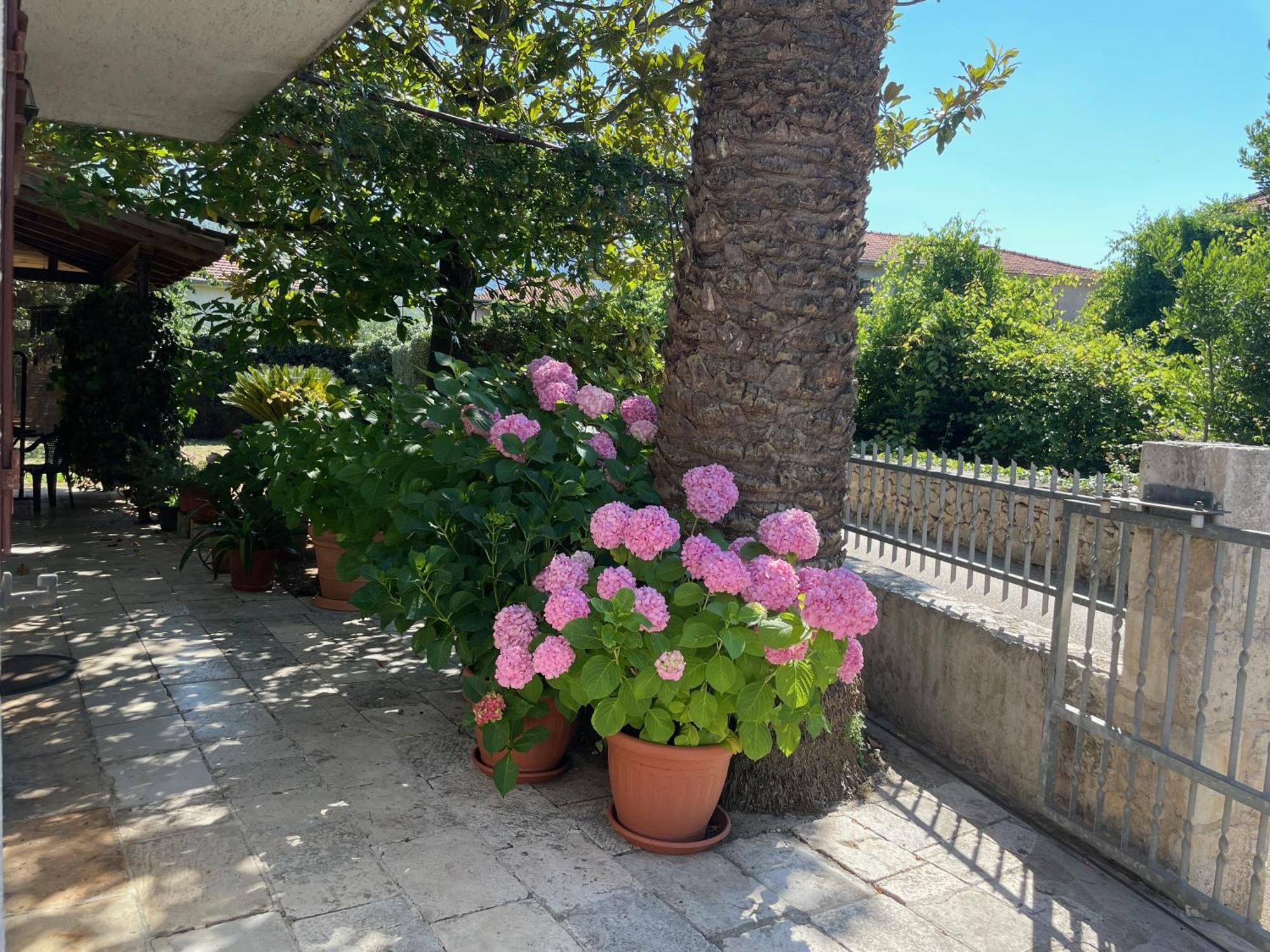 Hvar Guesthouse - Double Bedroom With Private Bathroom Jelsa  Kültér fotó